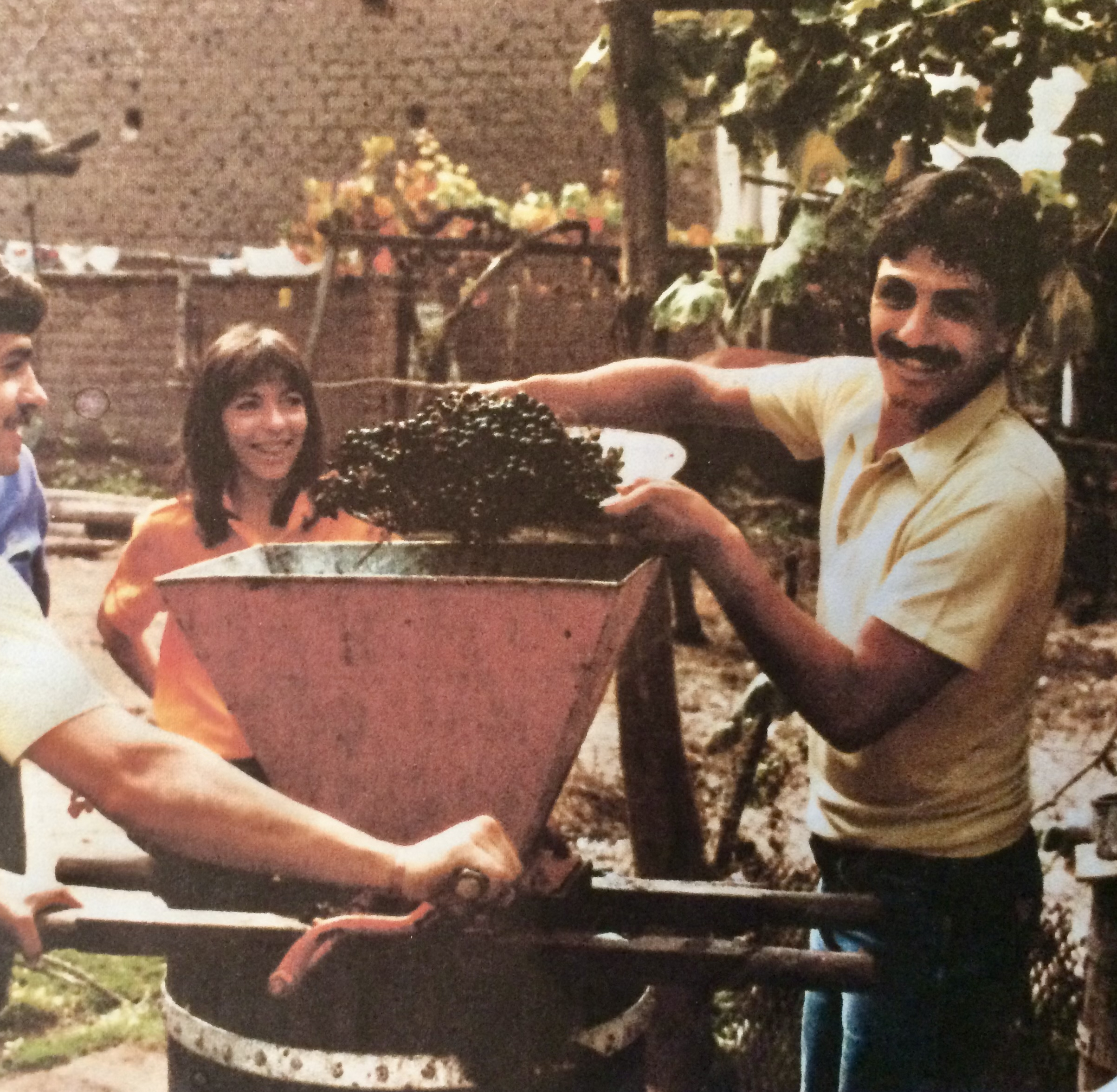 Historia de Bodega Pulmary